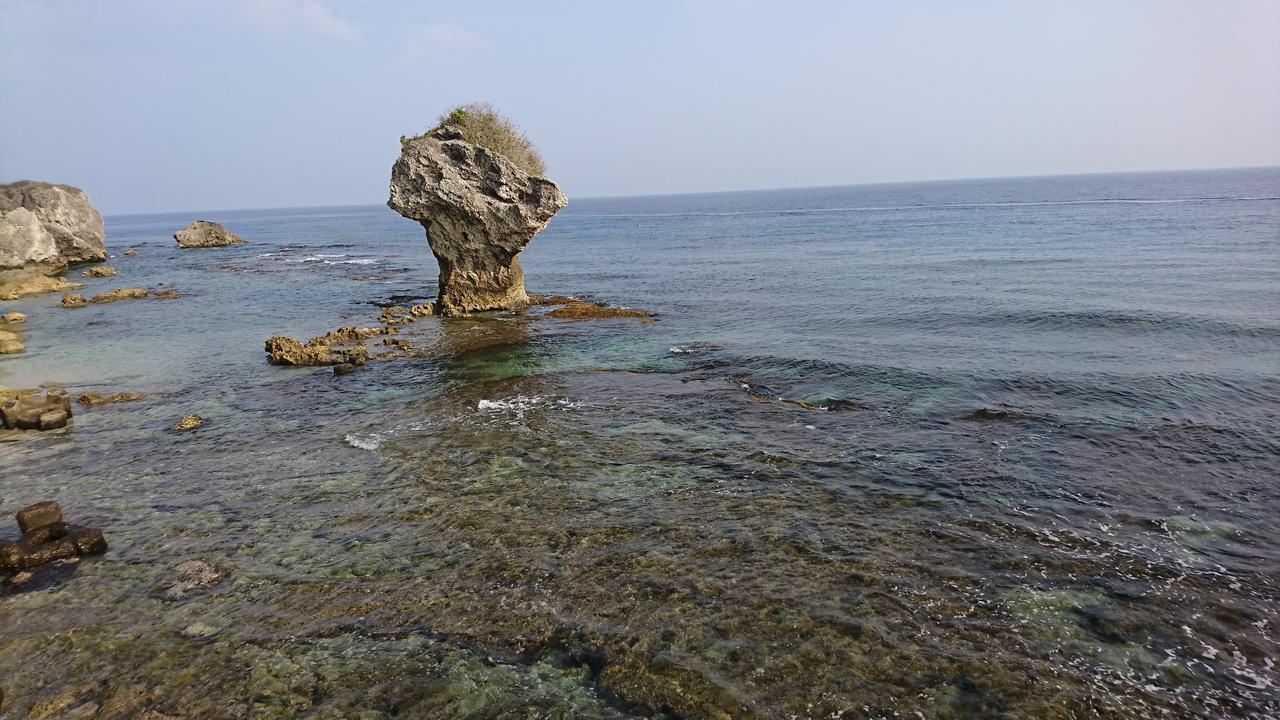 Happy Holiday شياوليوكيو المظهر الخارجي الصورة
